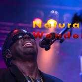 Natural WONDER – The Ultimate Stevie Wonder Experience