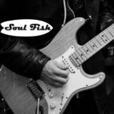 Soul Fish