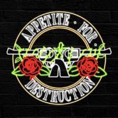Appetite For Destruction tribute to GNR W/ Big Bad Bill a tribute to Van Halen