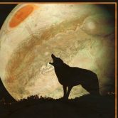 Jupiter Coyote – Outdoor Sunset Concert- No Opener