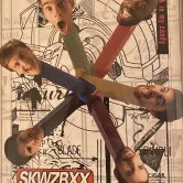 SKWZBXX