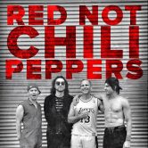 Red NOT Chili Peppers on the Liquid Aloha Beach Stage