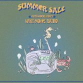 Summer Salt on the Bud Light Seltzer Beach Stage W/ Motel Radio